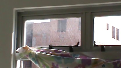 Ada sekelompok download video bokep mom japan anak kucing