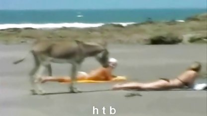 Lesbian, dildo, video bokep japanese istri selingkuh pesta